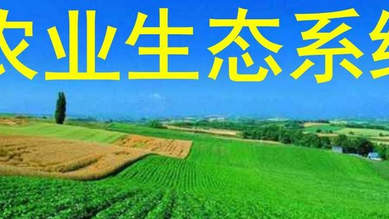 合作社分红比例如何确定？关键因素解析