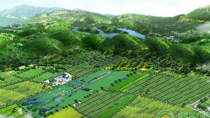 家庭农场项目加盟，代理费用几何？揭秘加盟背后的成本与价值**
