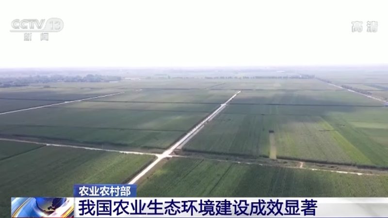 农业种植流程：从选种到收获的全程解析