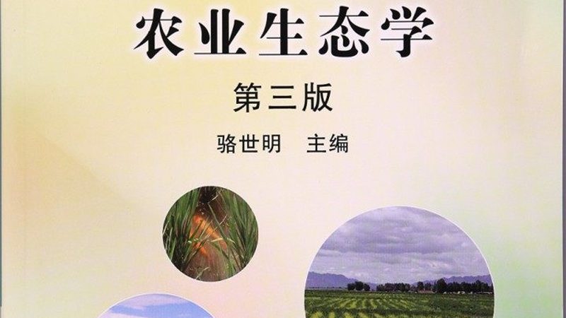 水果种植合作社年收入计算：关键步骤与注意事项