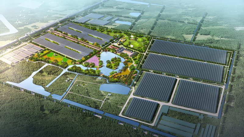 在成都农资批发市场中，以下品牌备受好评：