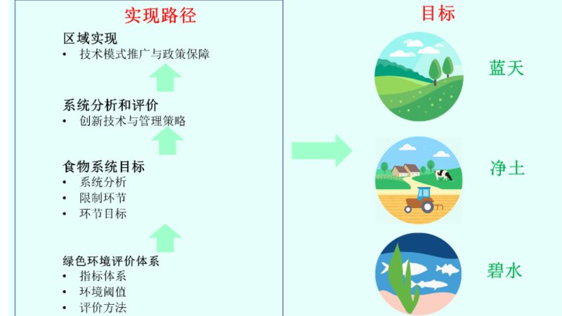 核心关注点：亩产成本比、病虫害防效与产品入市合规性