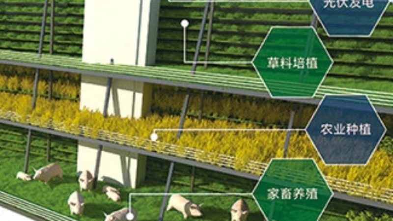 食材配送投标书评分细则解析：关键要素与评分标准