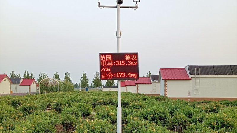 设施农业示范基地：构建高效运营的绿色桥梁