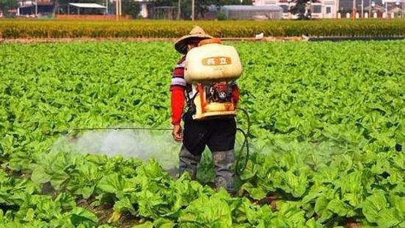小标题：高山水果种植的挑战
