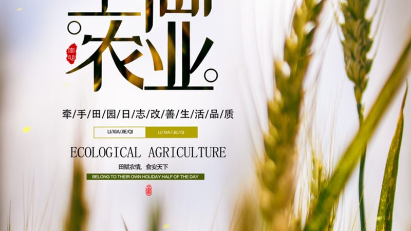 农资经营许可证，如何申请与合规经营**